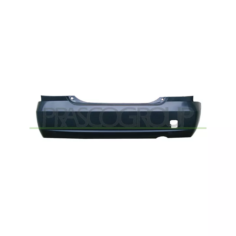 Pare-chocs PRASCO DS4241051