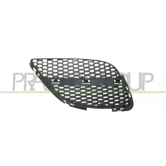 Grille de radiateur PRASCO DS4242003