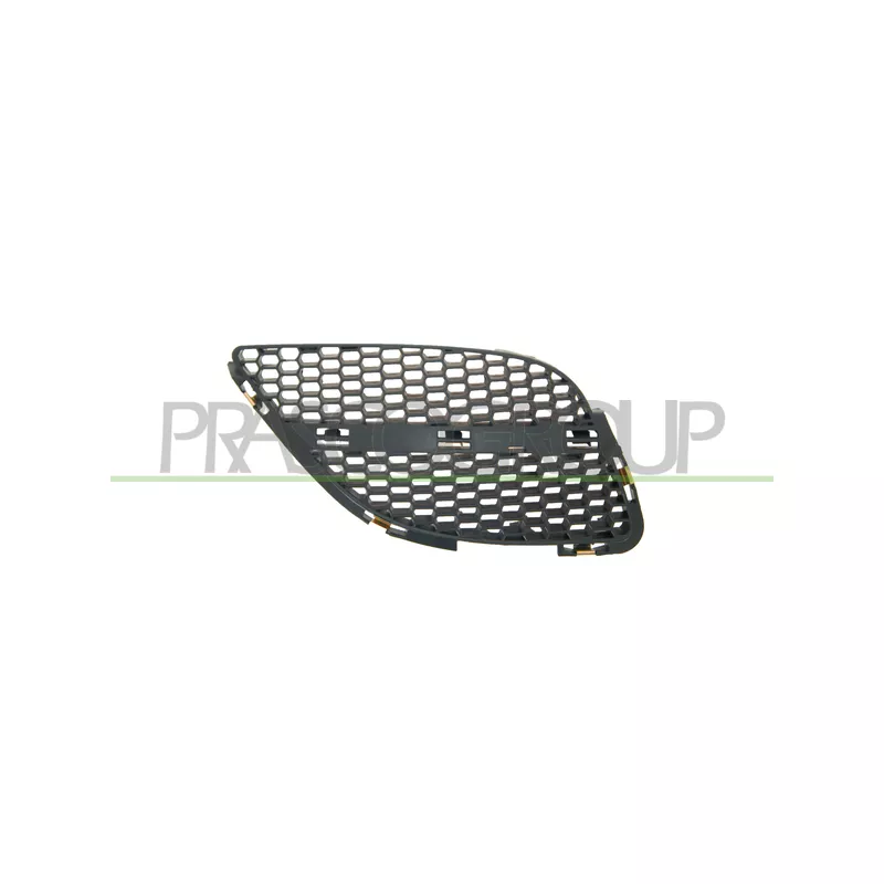 Grille de radiateur PRASCO DS4242003
