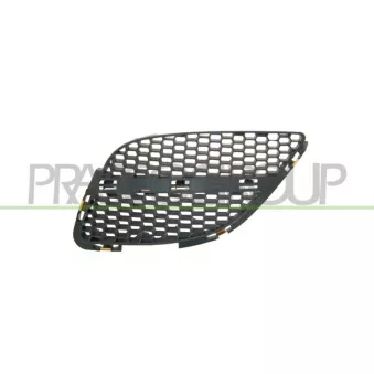 Grille de radiateur PRASCO DS4242004