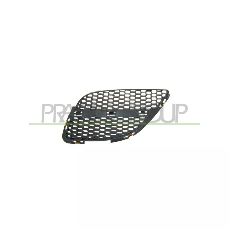 Grille de radiateur PRASCO DS4242004