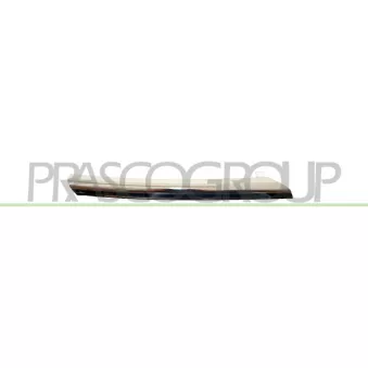Baguette et bande protectrice, grille de radiateur avant droit PRASCO