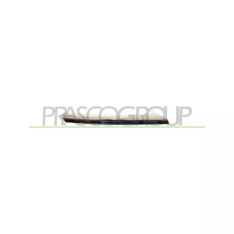 Baguette et bande protectrice, grille de radiateur avant droit PRASCO DS4242143