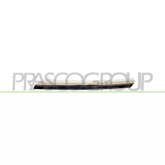 Baguette et bande protectrice, grille de radiateur PRASCO DS4242144