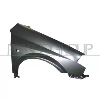Aile avant droit PRASCO DS5223013