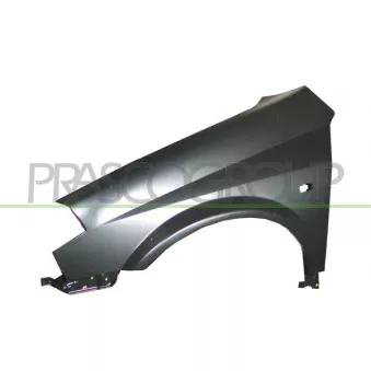 Aile avant gauche PRASCO DS5223014