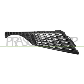 Grille de radiateur PRASCO