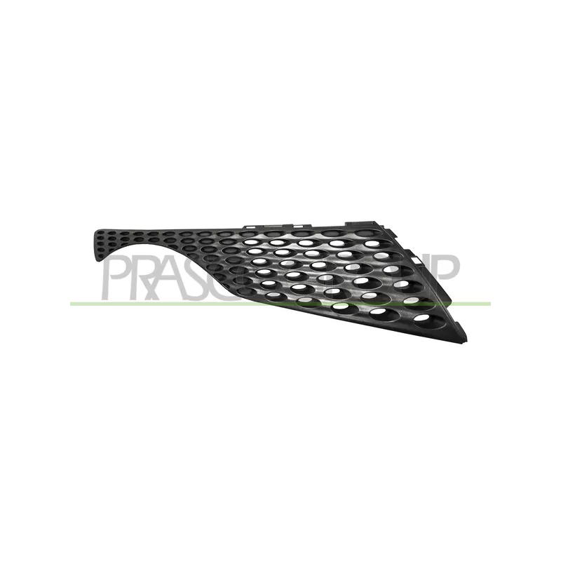 Grille de radiateur PRASCO DS7002003