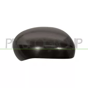 Revêtement, rétroviseur extérieur PRASCO DS7007403