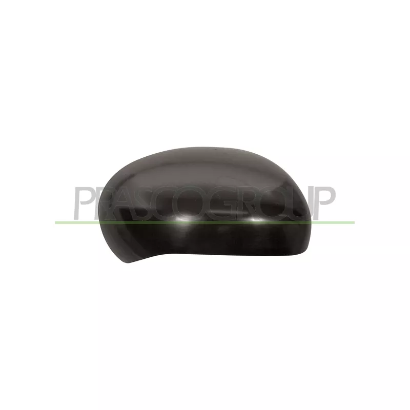 Revêtement, rétroviseur extérieur PRASCO DS7007403