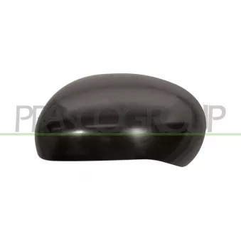 Revêtement, rétroviseur extérieur PRASCO DS7007404
