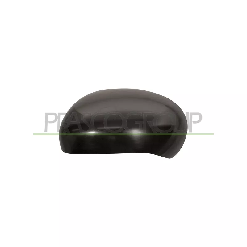 Revêtement, rétroviseur extérieur PRASCO DS7007404