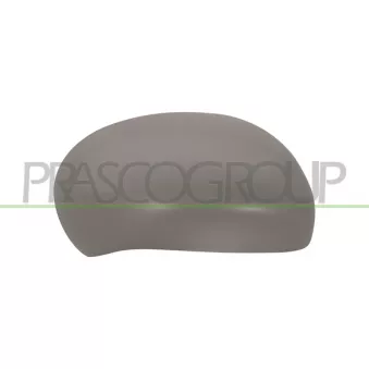 Revêtement, rétroviseur extérieur PRASCO DS7007413