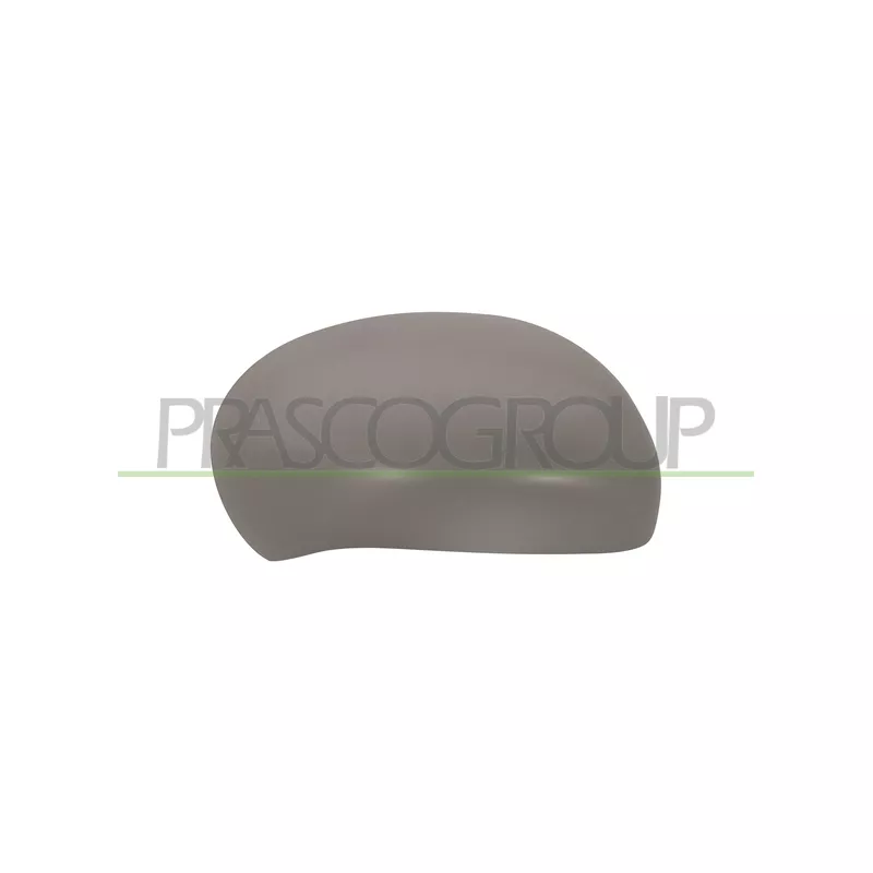 Revêtement, rétroviseur extérieur PRASCO DS7007413