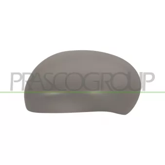 Revêtement, rétroviseur extérieur PRASCO DS7007414