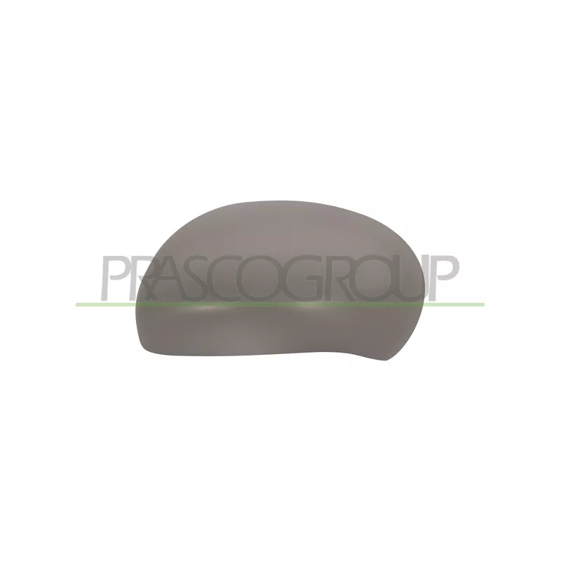 Revêtement, rétroviseur extérieur PRASCO DS7007414