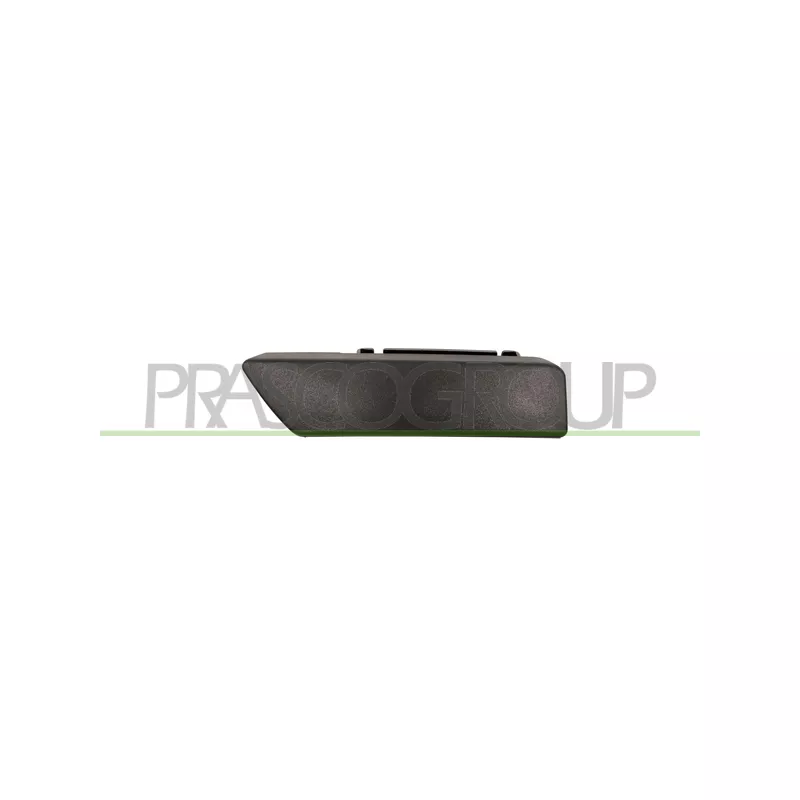 Poignée extérieure de porte arrière gauche PRASCO DS7008802