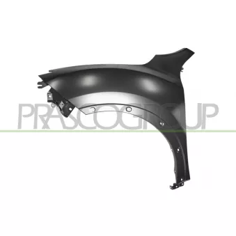 Aile avant gauche PRASCO DS7023024