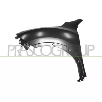 Aile avant gauche PRASCO DS7023034