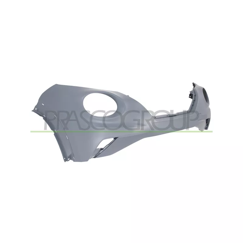 Pare-chocs PRASCO DS7041011