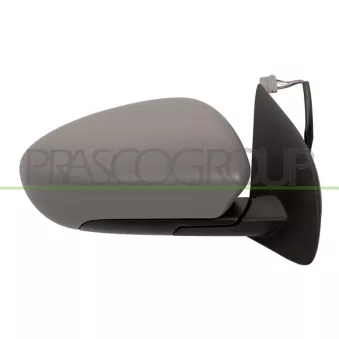 Rétroviseur extérieur PRASCO DS7107323P