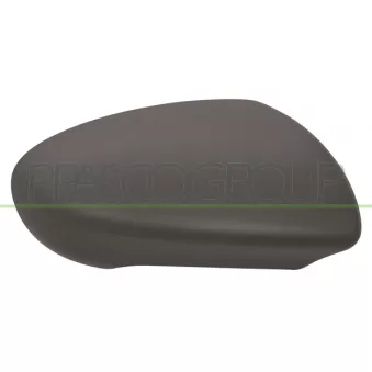 Revêtement, rétroviseur extérieur PRASCO DS7107413