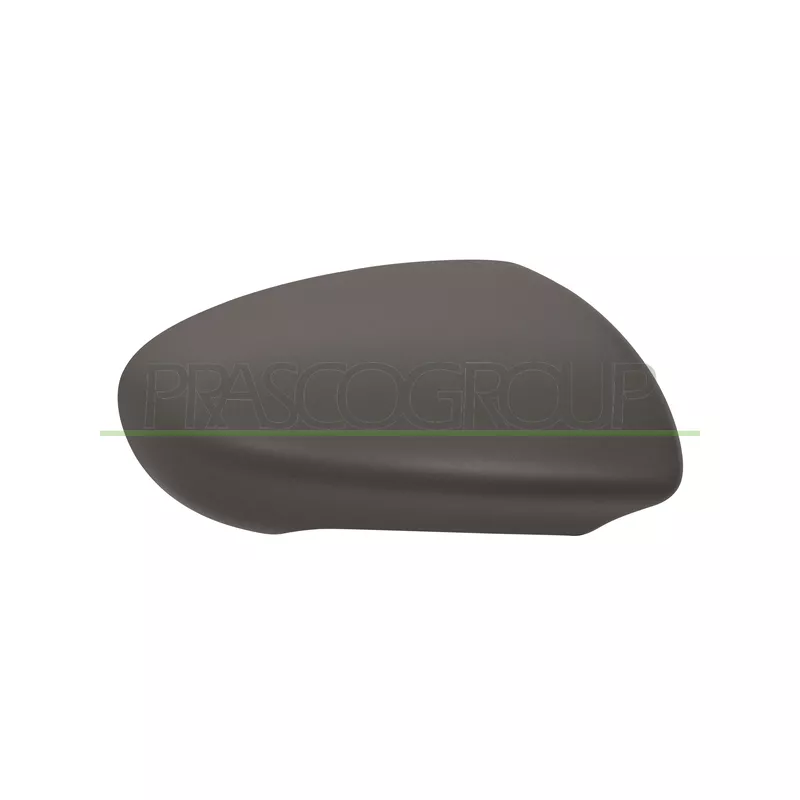 Revêtement, rétroviseur extérieur PRASCO DS7107413
