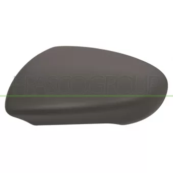 Revêtement, rétroviseur extérieur PRASCO DS7107414