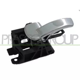 Poignet de porte, équipment intérieur avant gauche PRASCO DS7108606