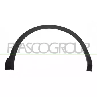Baguette et bande protectrice, aile avant droit PRASCO DS7121591
