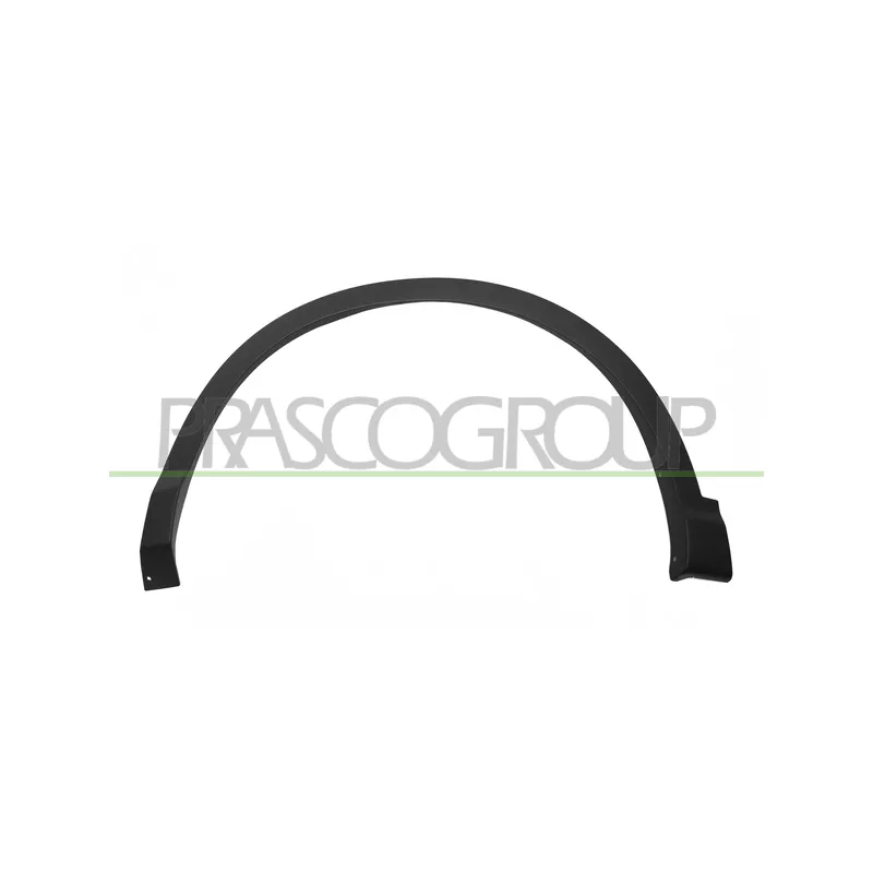 Baguette et bande protectrice, aile avant gauche PRASCO DS7121592