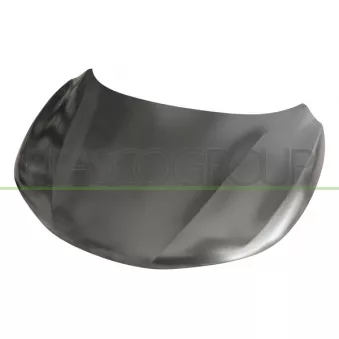 Capot-moteur PRASCO DS7123130