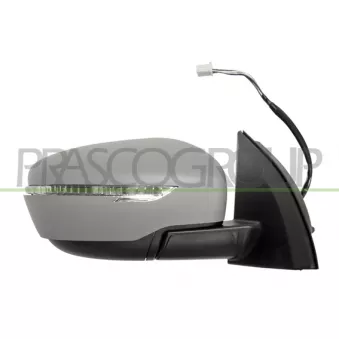 Rétroviseur extérieur PRASCO DS7127333