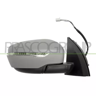Rétroviseur extérieur PRASCO DS7127334