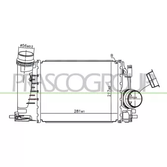 Intercooler, échangeur PRASCO DS713N001