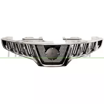 Grille de radiateur PRASCO