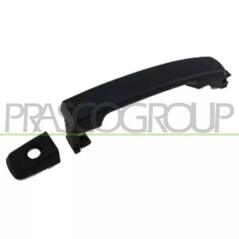 Poignée extérieure de porte avant gauche PRASCO DS8148007
