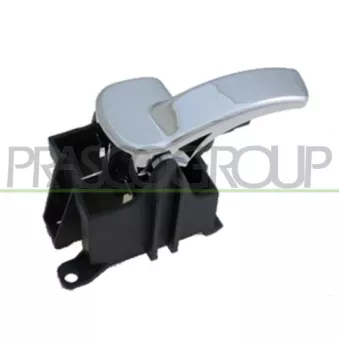 Poignet de porte, équipment intérieur avant gauche PRASCO