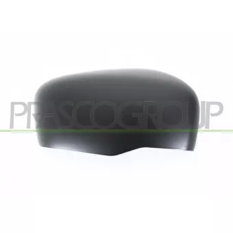 Revêtement, rétroviseur extérieur PRASCO DS8187403