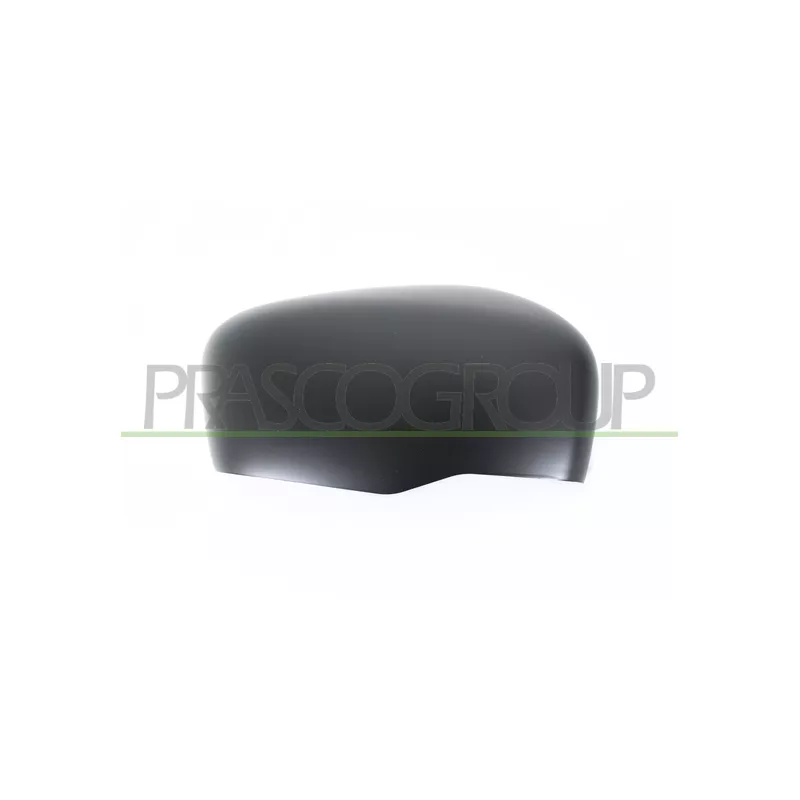 Revêtement, rétroviseur extérieur PRASCO DS8187403