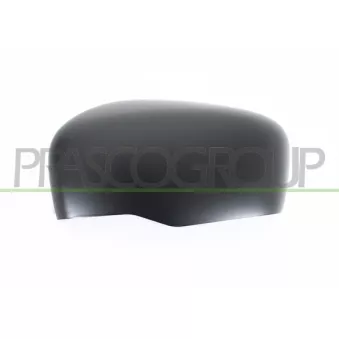 Revêtement, rétroviseur extérieur PRASCO DS8187404
