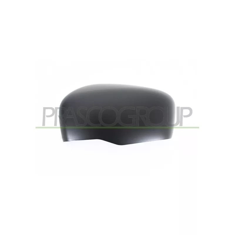 Revêtement, rétroviseur extérieur PRASCO DS8187404