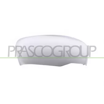 Revêtement, rétroviseur extérieur PRASCO DS8187413