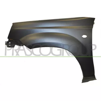 Aile avant droit PRASCO DS8303013