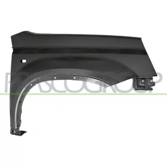 Aile avant droit PRASCO DS8323013