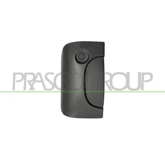 Poignée extérieure de porte PRASCO DS9178301