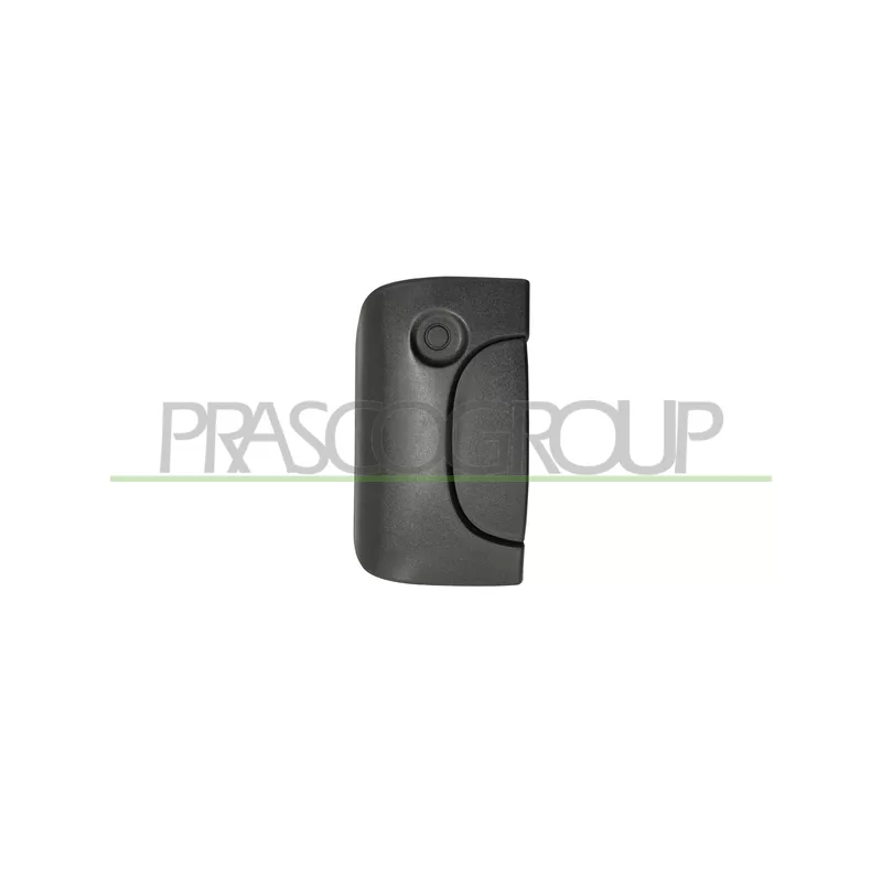 Poignée extérieure de porte PRASCO DS9178301