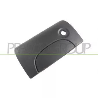 Poignée extérieure de porte PRASCO DS9178341