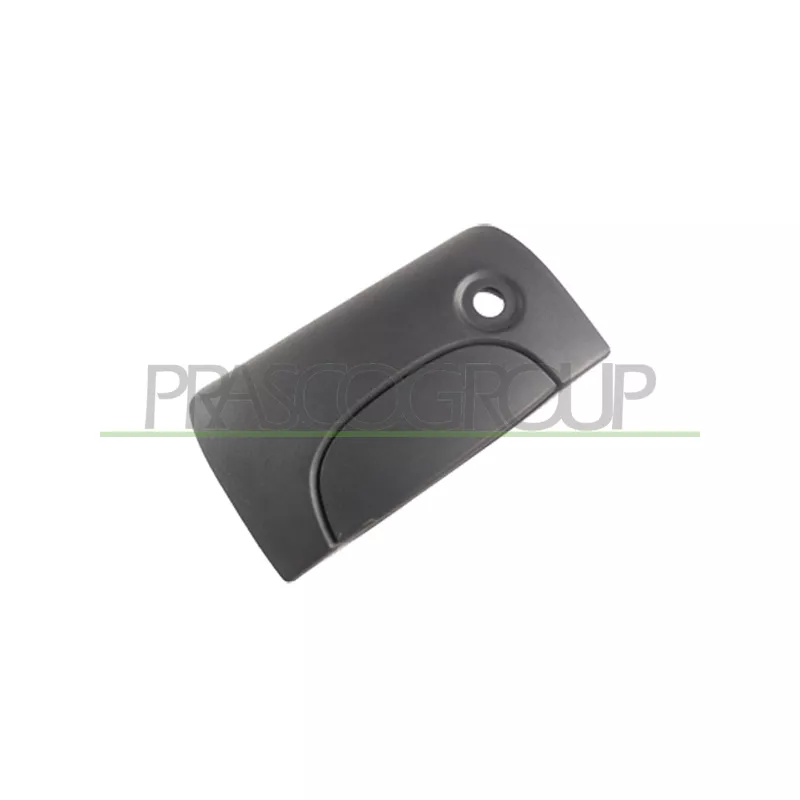 Poignée extérieure de porte PRASCO DS9178341