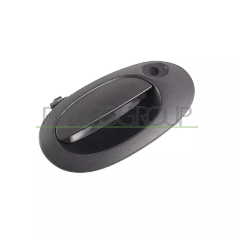Poignée extérieure de porte PRASCO DS9178351